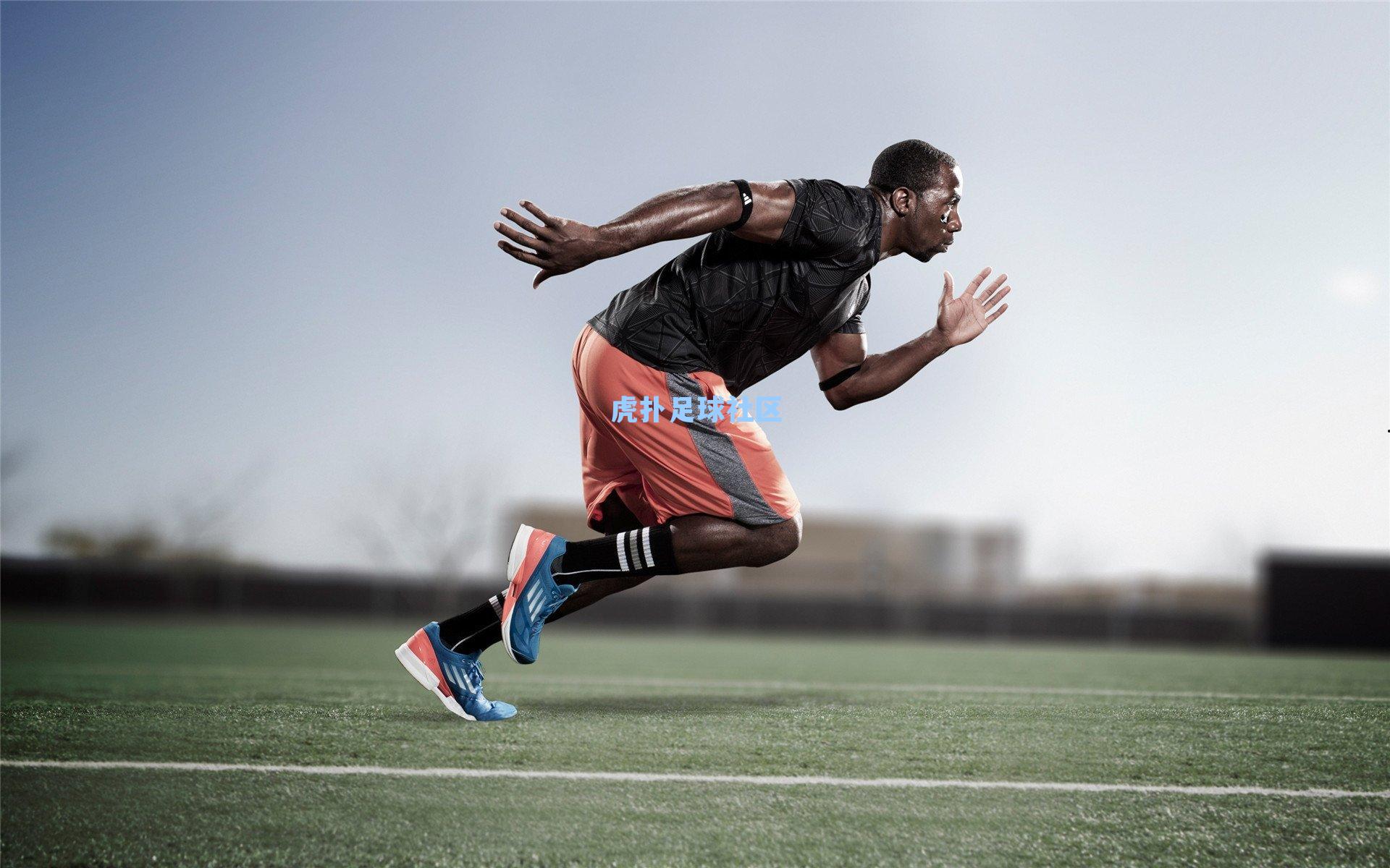 CBA赛程过半,格局升级亮点纷呈,裁判争议成赛季隐忧